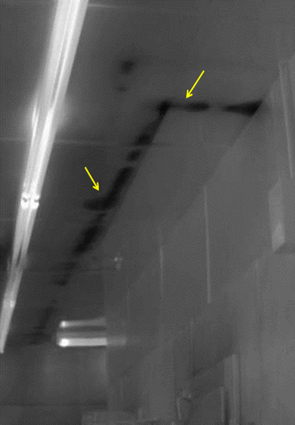 Infrared image of a water leak in a building ceiling